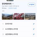 세븐일레븐 광양중마점 | 광양 매화축제 실시간 방문 후기! 개화시기 주차장 먹거리 입장료