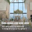 에이티커스텀 | 봐야할 본식스냅업체 5곳 비교 후기 (화이트포레 서사포토그라피 페르소나 이제인스냅 지오에이티스튜디오)