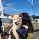 한강시민공원 이미지