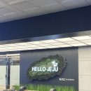 하이스테이 자연 | W2. 제주도 스냅 토탈샵 하이재이 후기 (feat. 제제플라워)