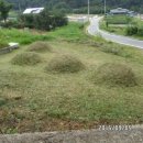 평화동-09 이미지