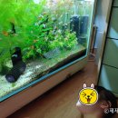 다온수산질병관리원&검역관리사무소