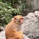 하롱베이 | 베트남 하노이 여행 하롱베이 크루즈 투어 당일 후기 예약 추천