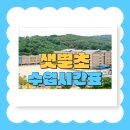 샛별초등학교 네이버블로그