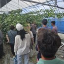 정철원농장 이미지