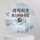 주. 에스에스유통