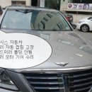 영일카프라자 이미지