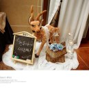 아시아드시티(뷔페&레스토랑) 이미지