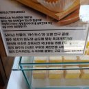 (주)테라도스 이미지