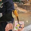 수원-0323 이미지