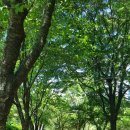 광산구-015 이미지