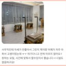 운천초등학교 | 오산필라테스맛집 오산디어핏필라테스