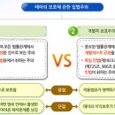 8. 자연인의 권리능력 이미지