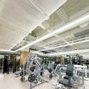 카프리짐 플래티넘 구로 이미지