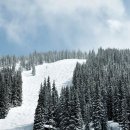 보니스 (BONNIE’S) 이미지