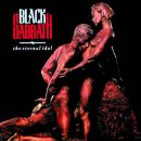 Black Sabbath - Eternal Idol 이미지