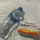 [히지의 호주 3일차 일기] 지독한 감기.. 그럼에도 불구하고 열심히 돌아다녔던 시드니대학, 수박케이크...