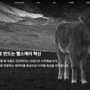 강동호축산