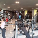 아프로 휘트니스 이미지