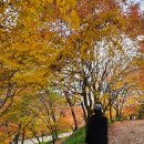 (주)전북에너지 | 전북 고창 선운산 단풍 절정 가을 등산