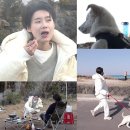 안수영농장 이미지