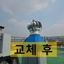 태리부식
