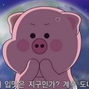 통통삼겹살 - 양평군 백안길60번길 1 | 통통삼겹살