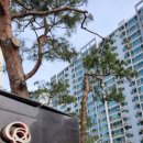 그린수지 | 수지 신봉동 한화꿈에그린 소재