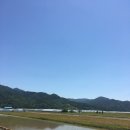 사임당민박 이미지