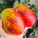 청림축산 이미지