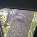 향초목원 이미지