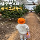 꿈에그린(아) | 담양 가볼만한 곳 꿈에그린농장 아이들놀거리