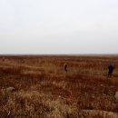 새만금바람길 이미지