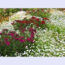 곡성-032 이미지