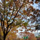 등촌근린공원 이미지