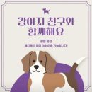 시흥 물왕동 맛있게 매운 조가네 갑오징어 물왕호수점
