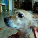 최강농장 이미지