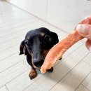 멍# | 부산 강아지 수제간식 추천 멍찬가게 배송 후기