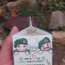 충용의원 | 8월5주~9월1주, 로둥이 2-3주차 정리 (37사단 동원)