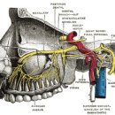 혜민한의원 이미지