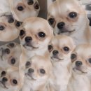 주차장매점 이미지