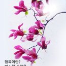 예쁜행복 이미지