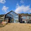 카페 수 이미지