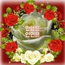 만남 이미지