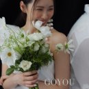 스튜디오고유