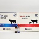 티엔티(주)