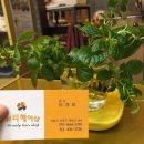 이경희헤어샵 네이버블로그