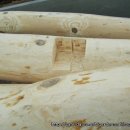 정자농장 이미지