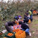 고성군청 이미지