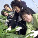 이재혁 농장 이미지